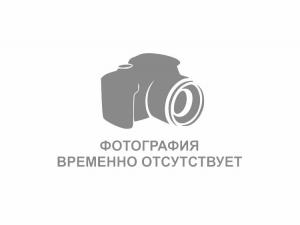 Сэнд трак 1200мм х 350мм х 3мм (Пара)